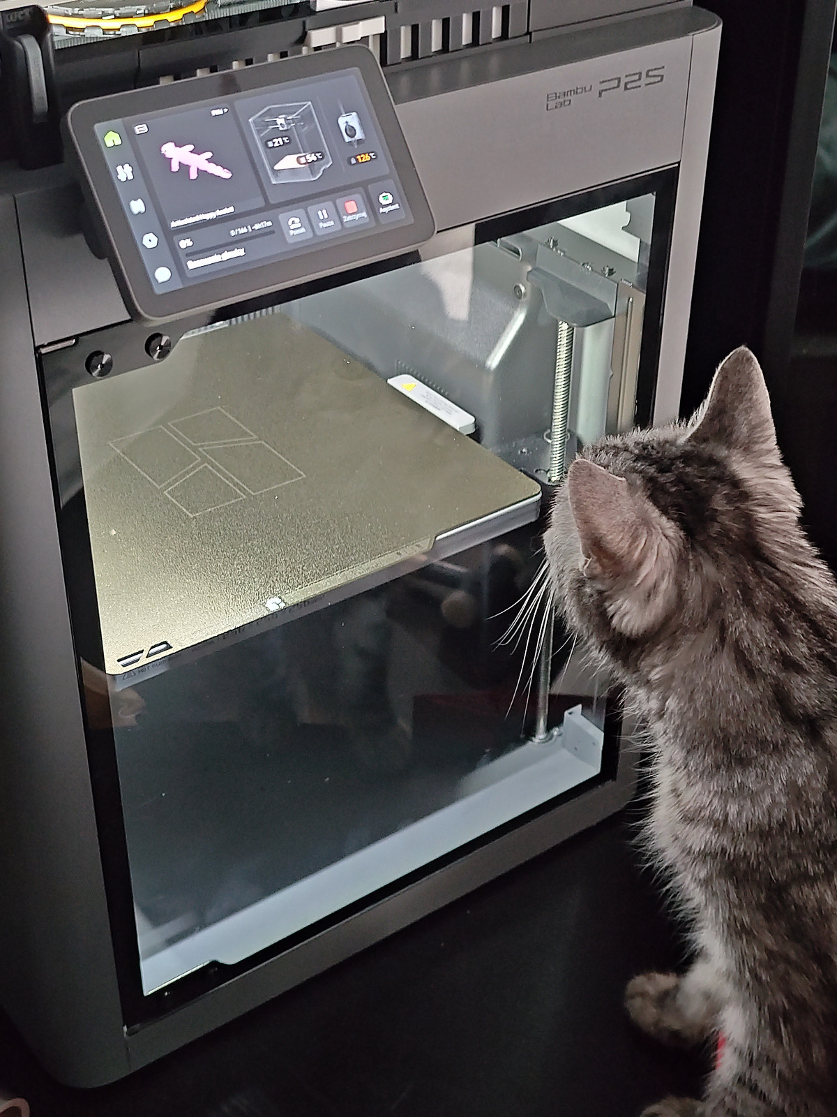 d990d39d-6cf1-4344-9679-8e6585021fca