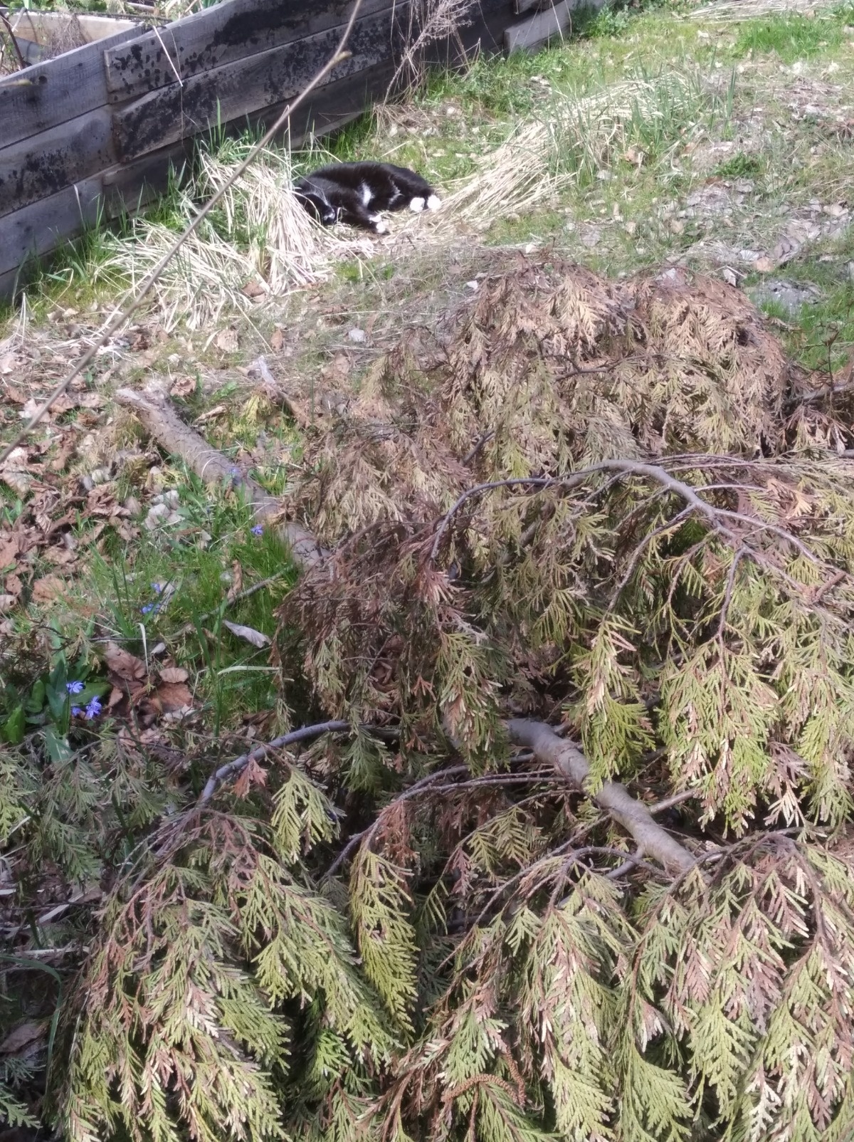 e60f07f5-6cf8-4a48-9076-e3b87533dc15