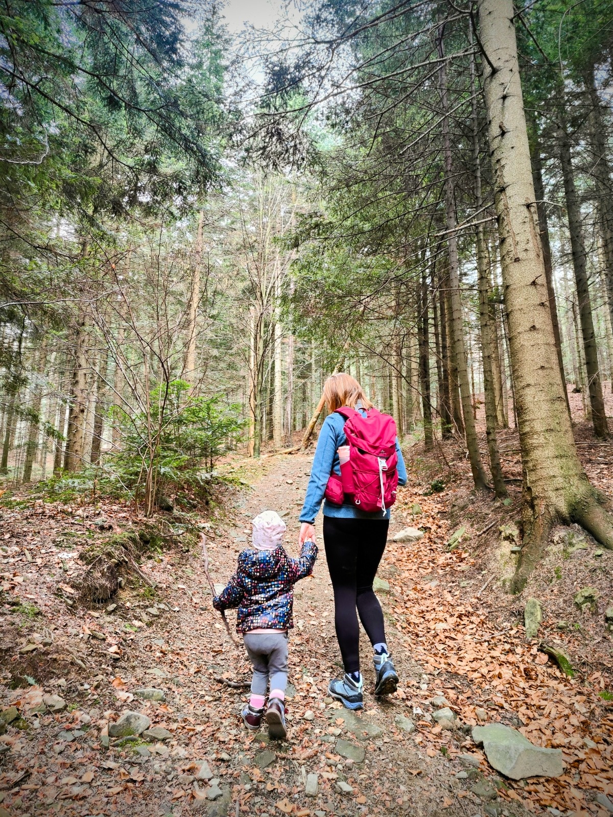 bc7a968b-00d7-4386-afca-f9581038ad0d