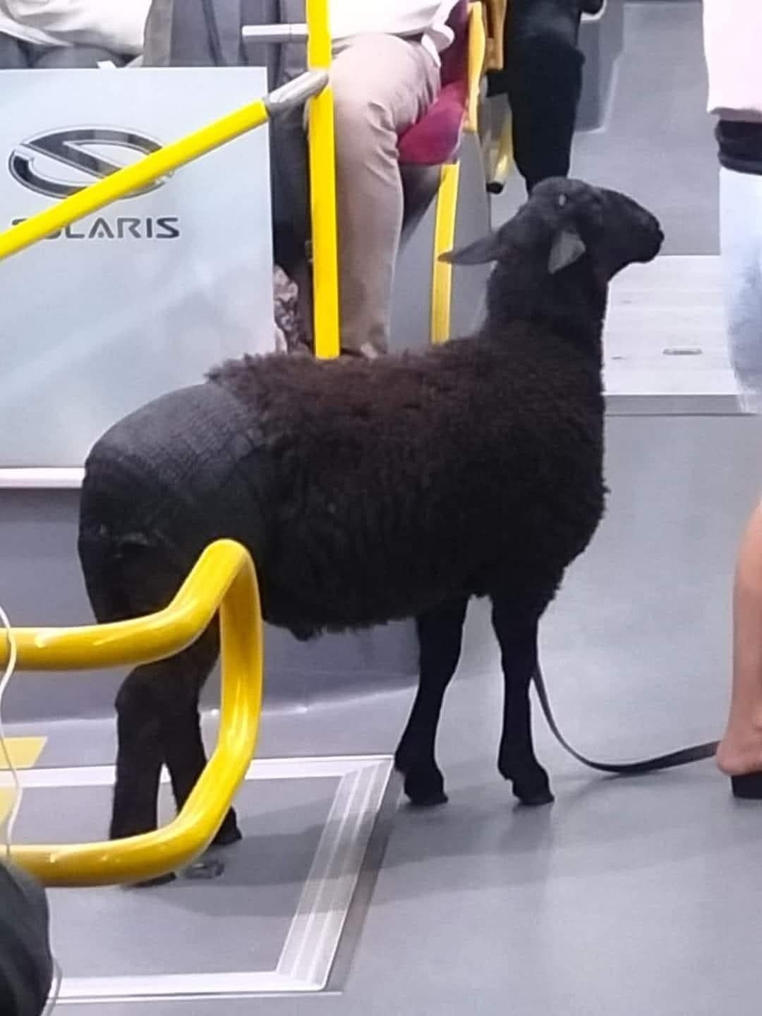 318bd890-7680-4924-b5bc-f74393fe81db