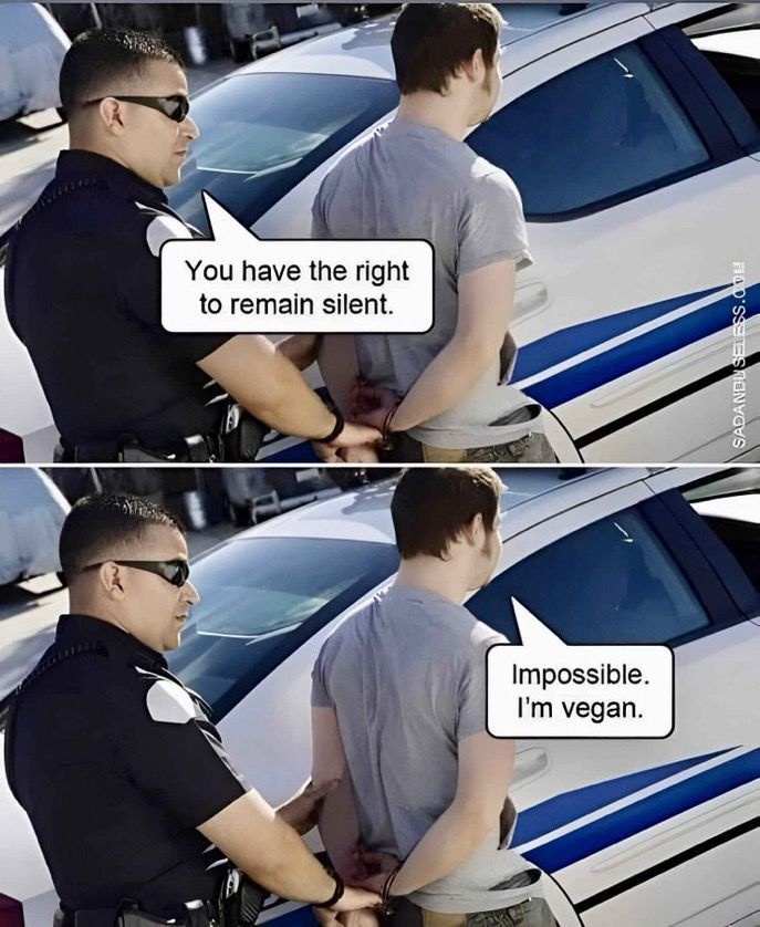 d384fa19-5cf6-4ab3-b6bb-ab6a7ee124c7