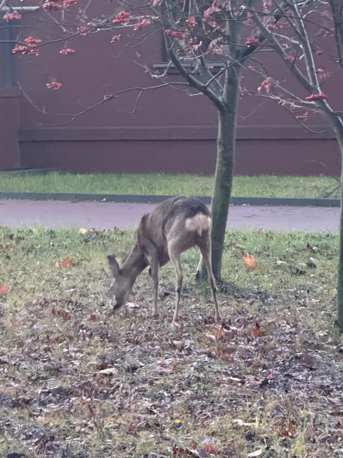 32e8c914-dd5c-4c63-9237-25c2cd18b45a