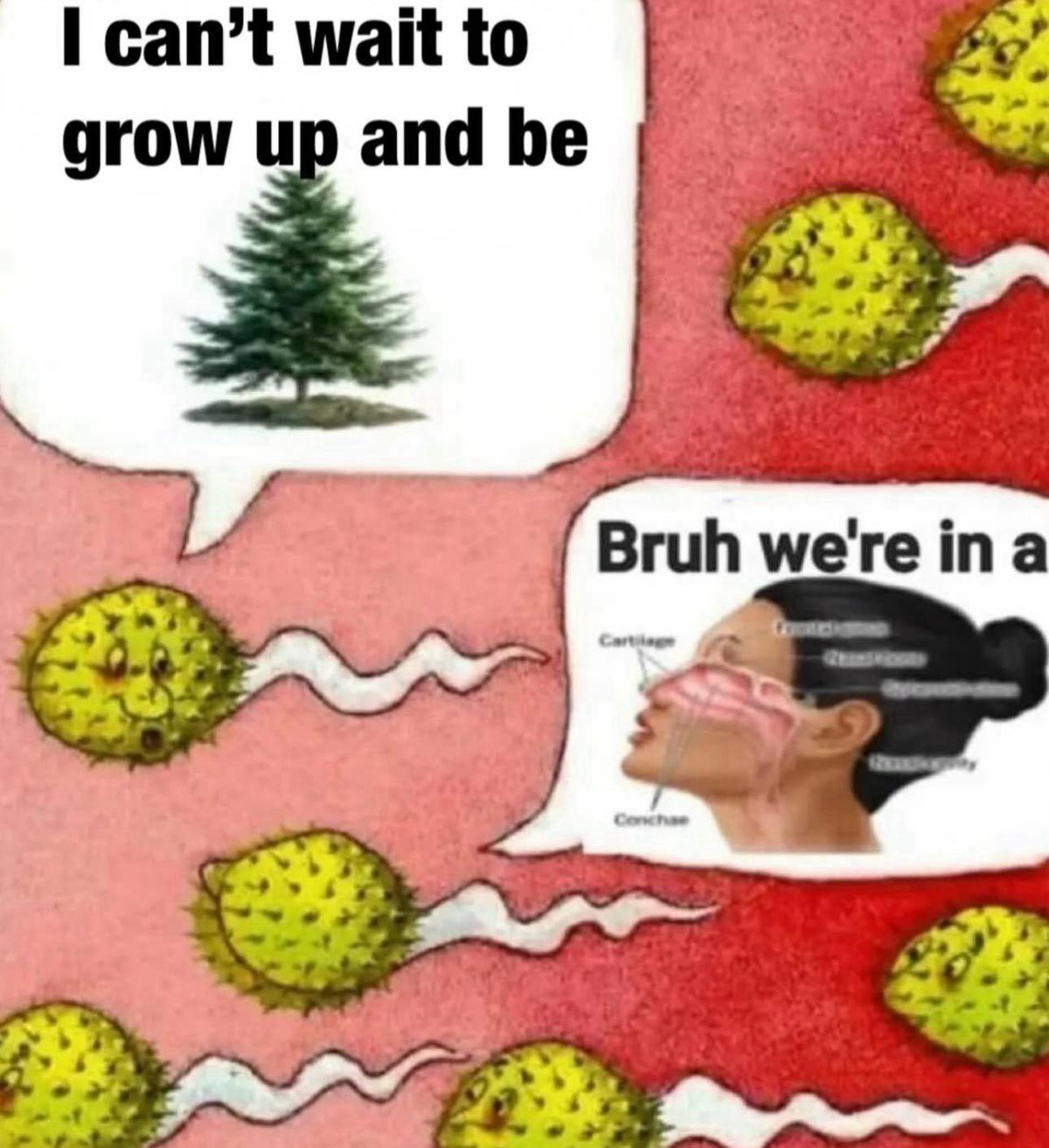 3ae4306e-4be9-424c-a3be-3de12a68dcf7