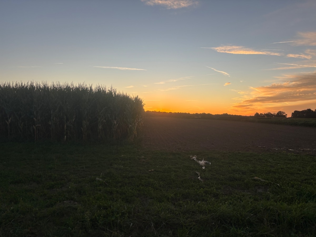 9382c065-7050-458b-bd73-a5e7b9c042ff