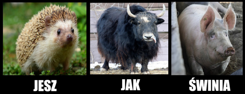 0c3096f0-476a-4176-aff8-fa479867f6af