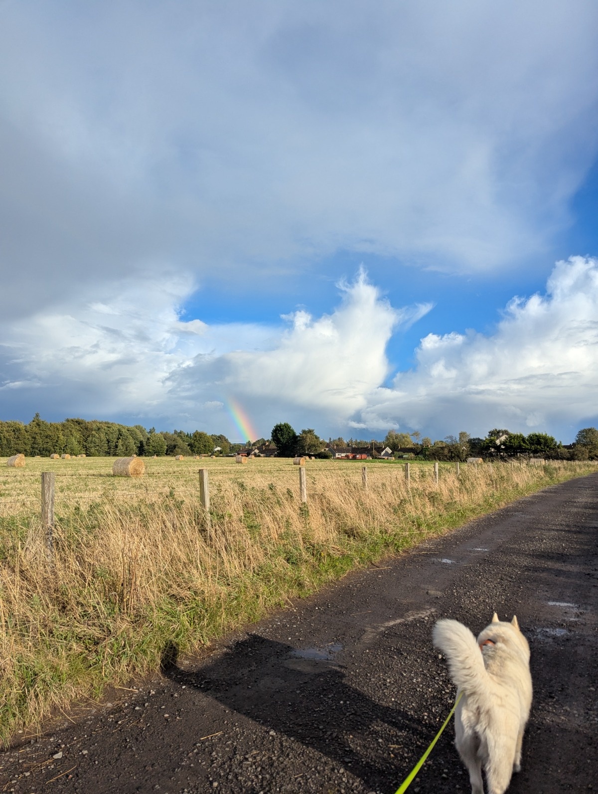 91fd149e-e9a6-42d6-9591-d42d75906f04