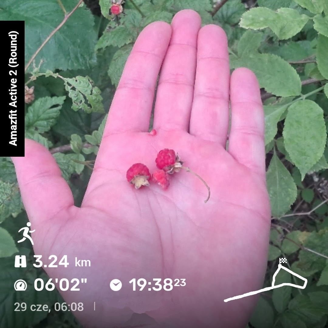 a5470a8e-8097-44c6-99bd-4bc26b2856bf