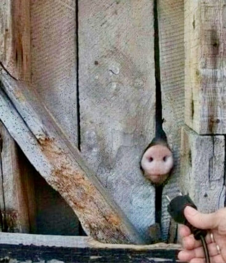 a4c96ca0-8700-47bf-87a1-7fc1102a4aed