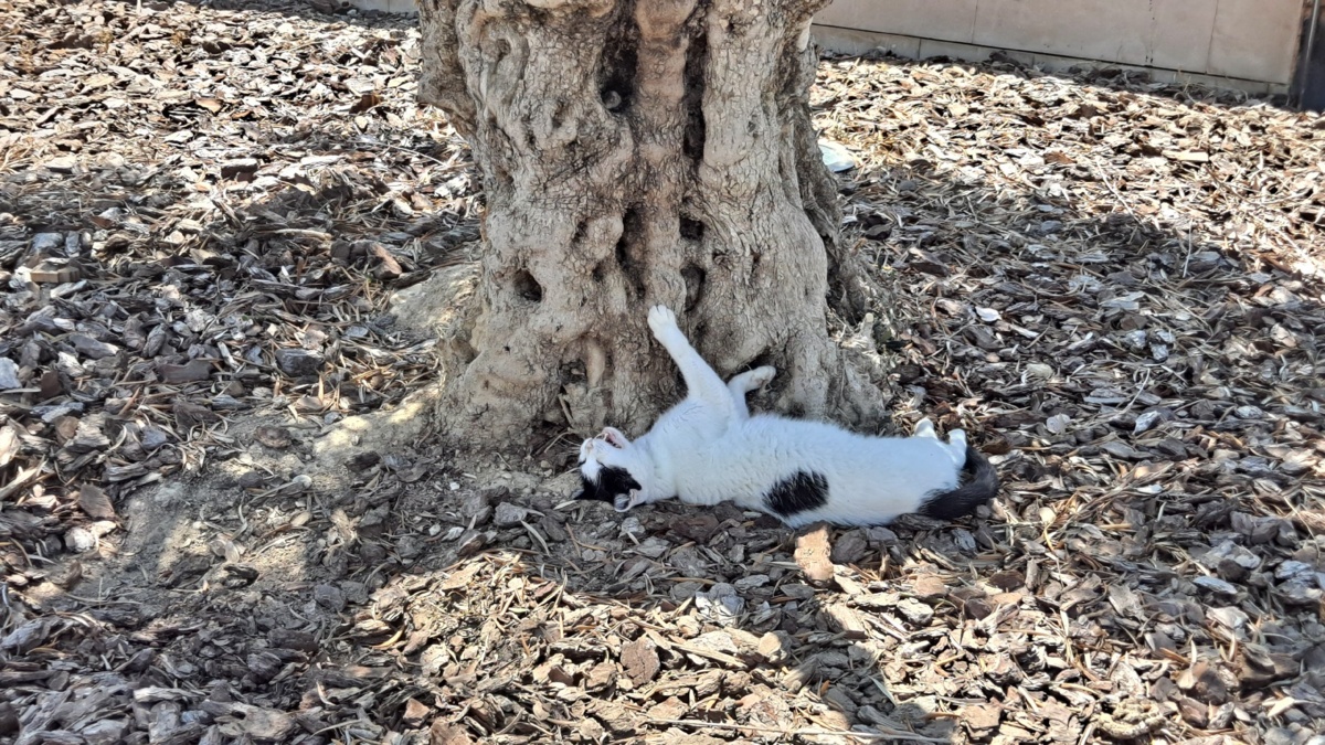 21f6d2d7-00e0-4755-9e51-6dddfdd887bf