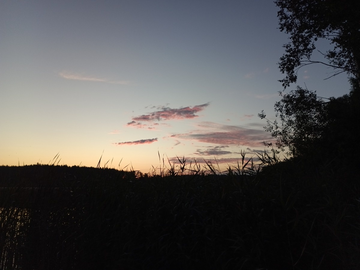 5aa9cfad-13dd-4228-9ae6-e9be78effae2