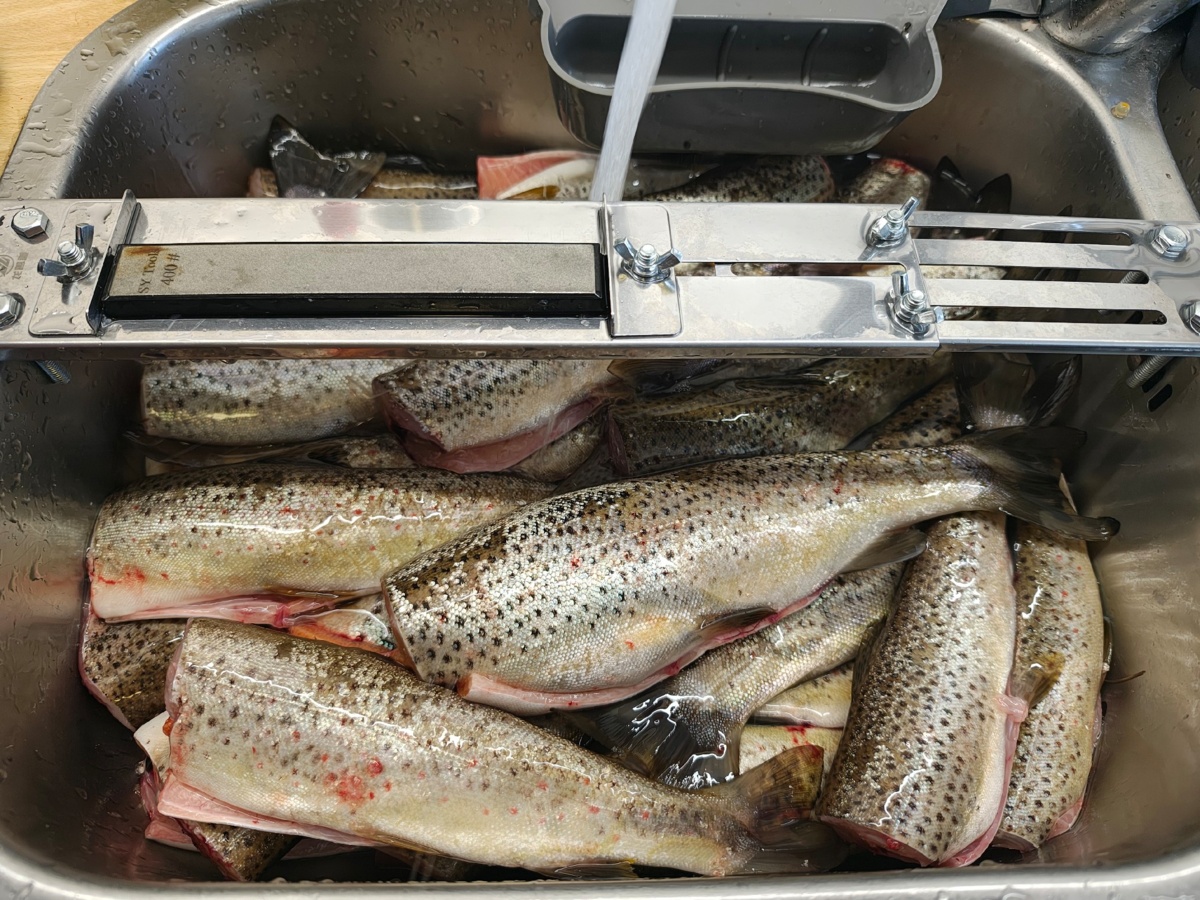 2b5cb687-c442-4b46-8664-8b75f4d9ce08