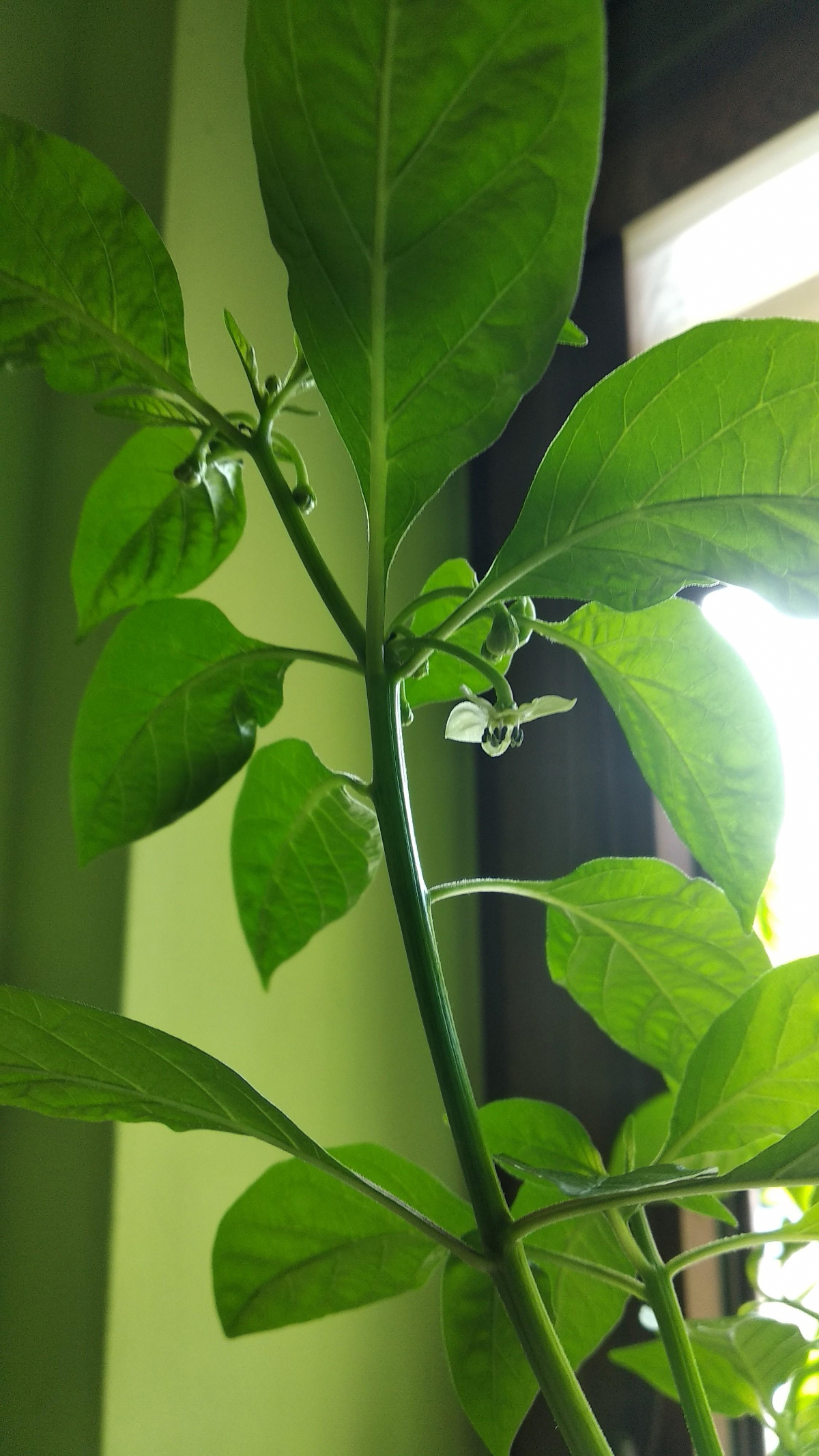 3de995af-046e-4eb5-8957-d7a28e4a1b00