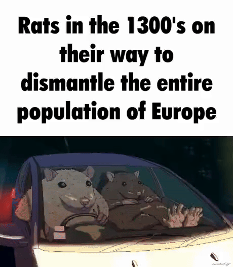 3ad5066e-fe76-421b-bc91-a767e1e54011