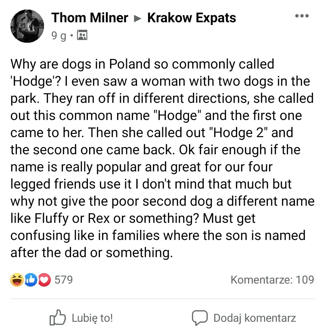 bfde210d-30f6-4229-9bb2-7d1f97313840