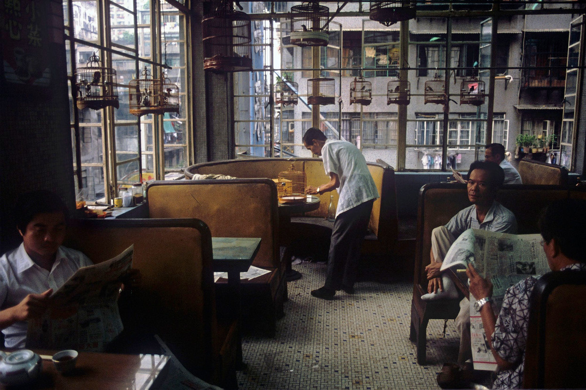 f353dc1c-8651-43a5-8f7a-2c8f940781a8