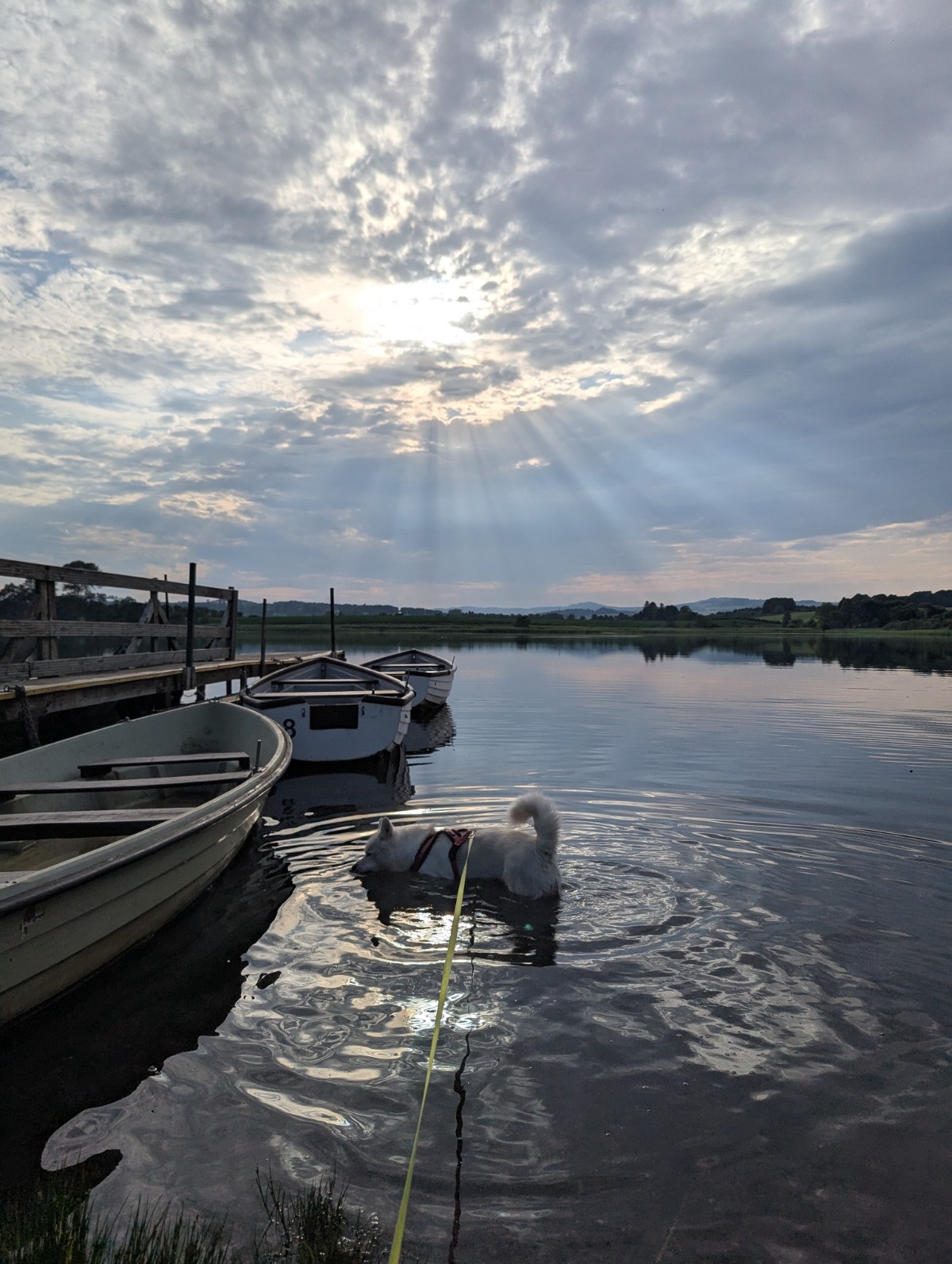 b055199e-2d78-41ff-af3c-2c9f1d302a72