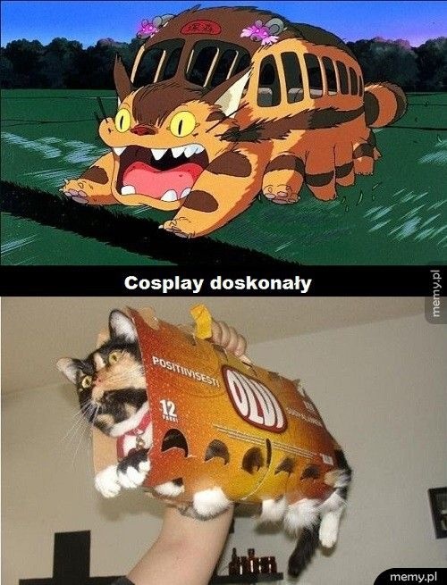 9edef8e0-4175-4bdc-9707-ea5556bc384a