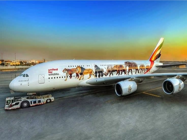 4b607fe3-72ab-4dab-887c-7e9c58670b82