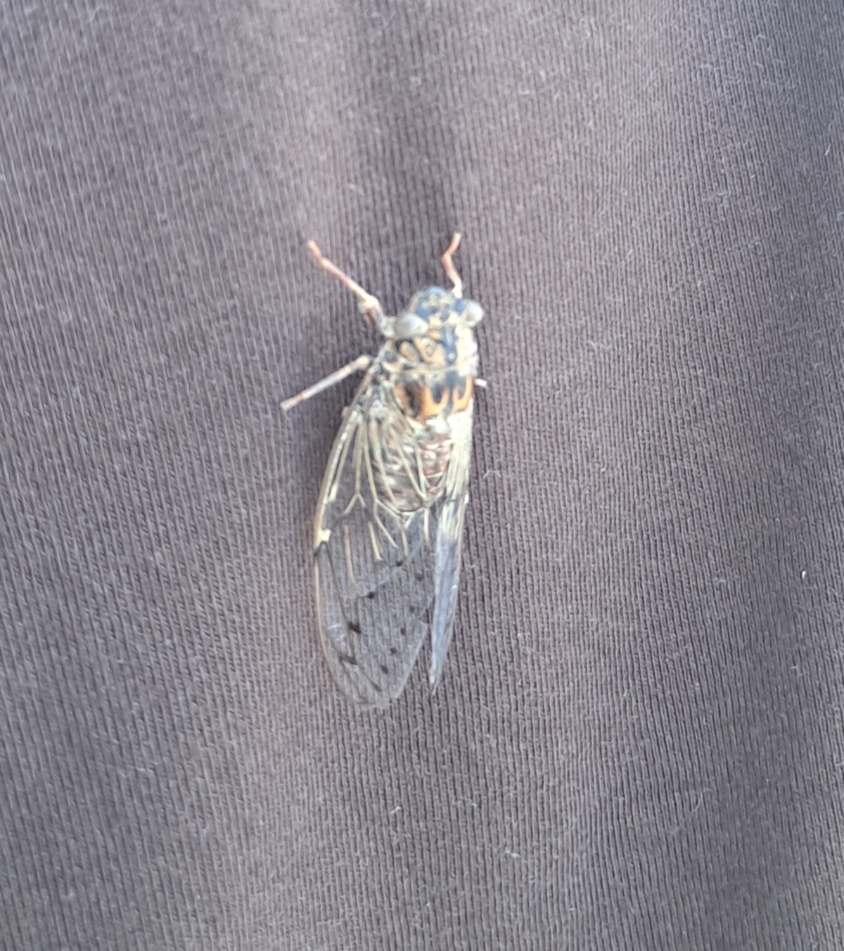 34da3ce9-d601-4c69-bfda-b33f23e9cdc7