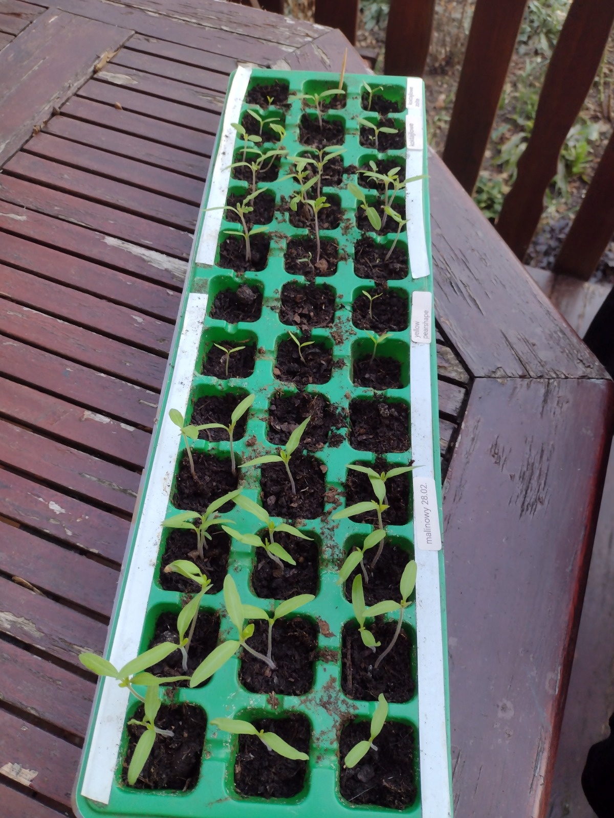 c452bcd7-934e-45b0-8450-eb9a2b344934