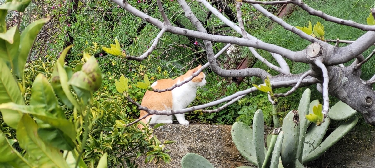 8eac7e34-4d91-4762-82cb-f8fccef8fc9d