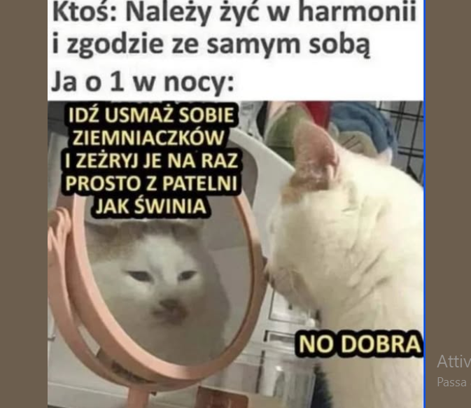 c1e24a95-0a82-497e-a261-9a28551e2c12