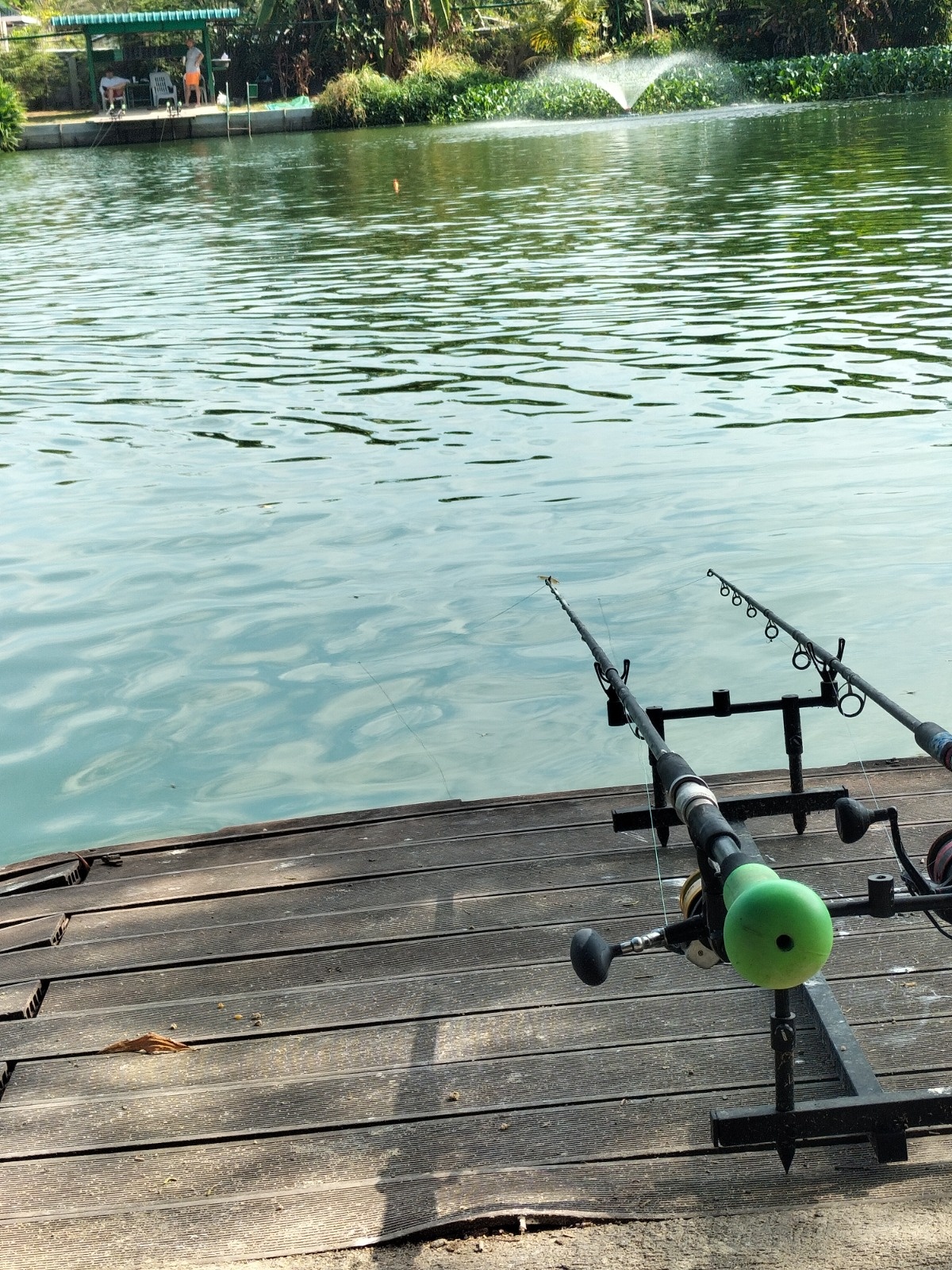 0e31e212-56b5-4c55-aa3a-0902cd473ffb