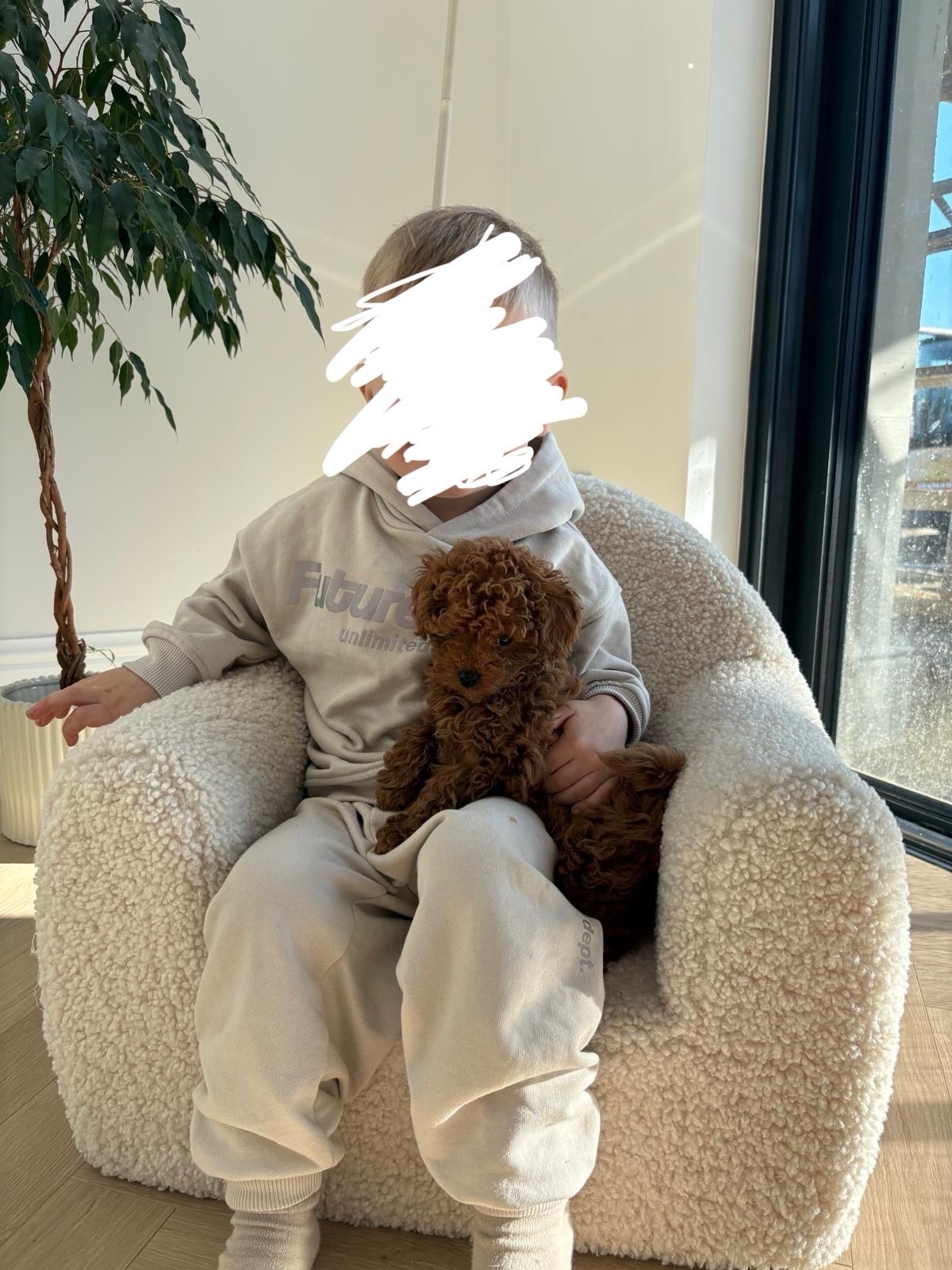 ed693141-e085-4a98-910b-28a7f329e0b7