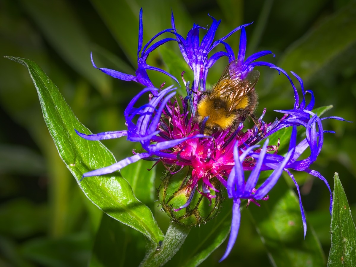 9a02f358-65bc-406a-bfbc-2ecc038e2280