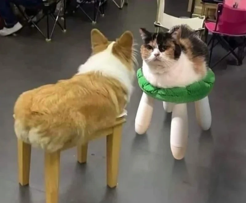 2473822a-e90e-4e6e-b4b8-ee2f6b9e490f