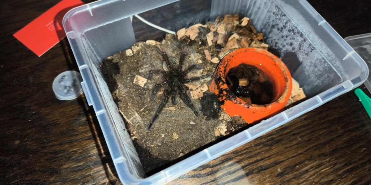 4ae3a42a-fe11-4684-88d0-eb0e00b13cae