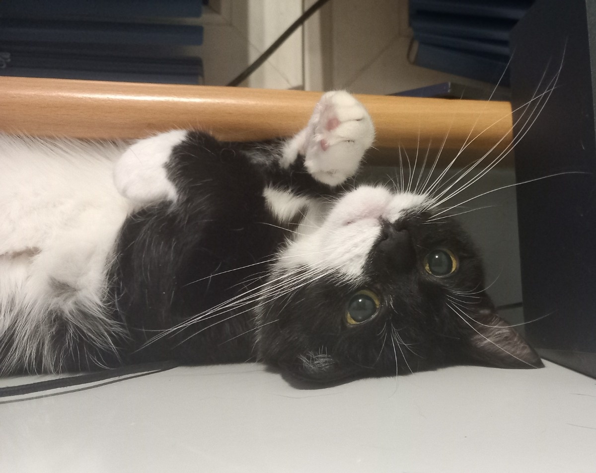 168e0d5f-81fc-49a3-85c5-60143b2e2733