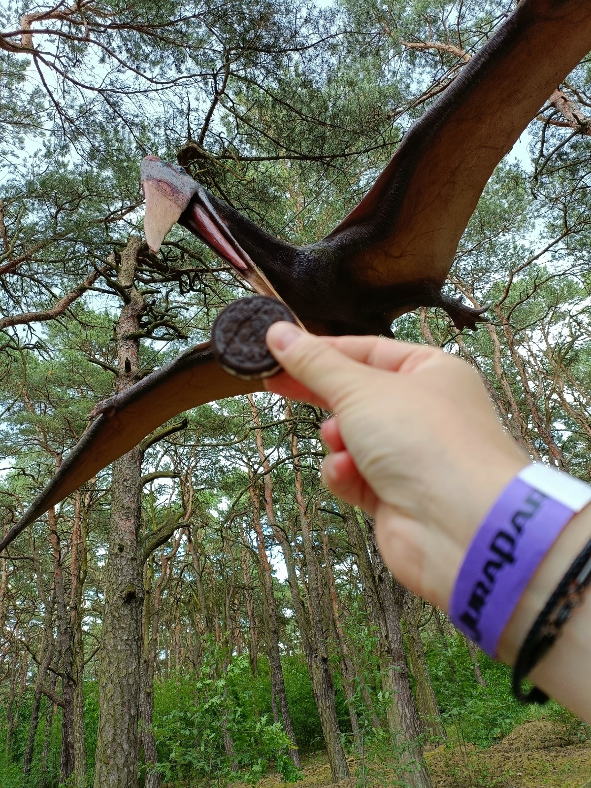 a453a549-b226-4259-9d12-f9dadcff0ee0