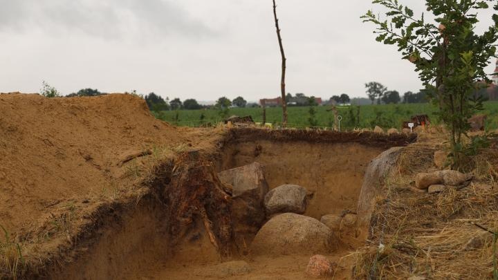 Megalityczne grobowce sprzed 5,5 tys. lat zidentyfikowano w Wielkopolsce