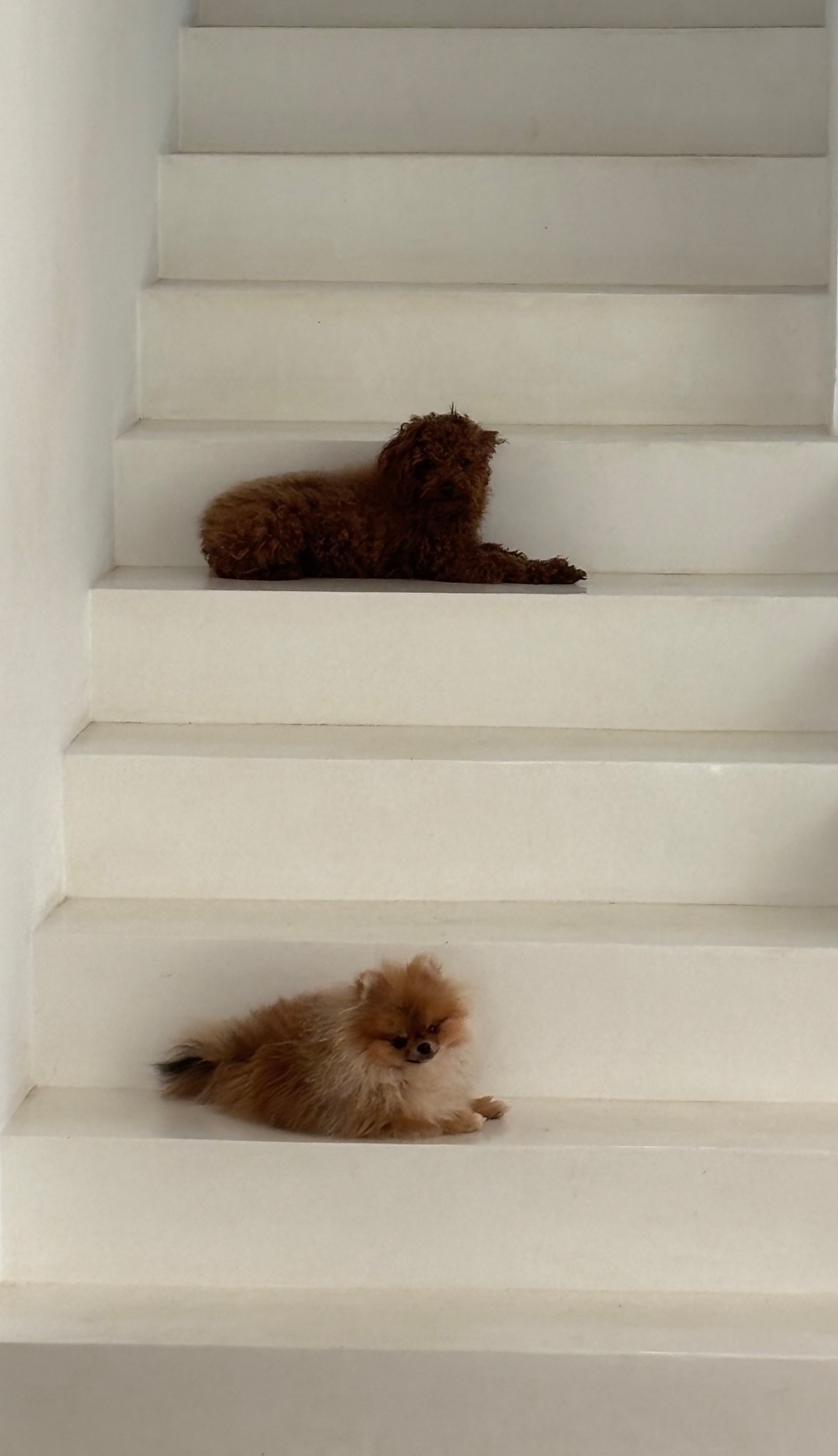 afdd0edf-c42c-48dc-8d86-c16f12170628