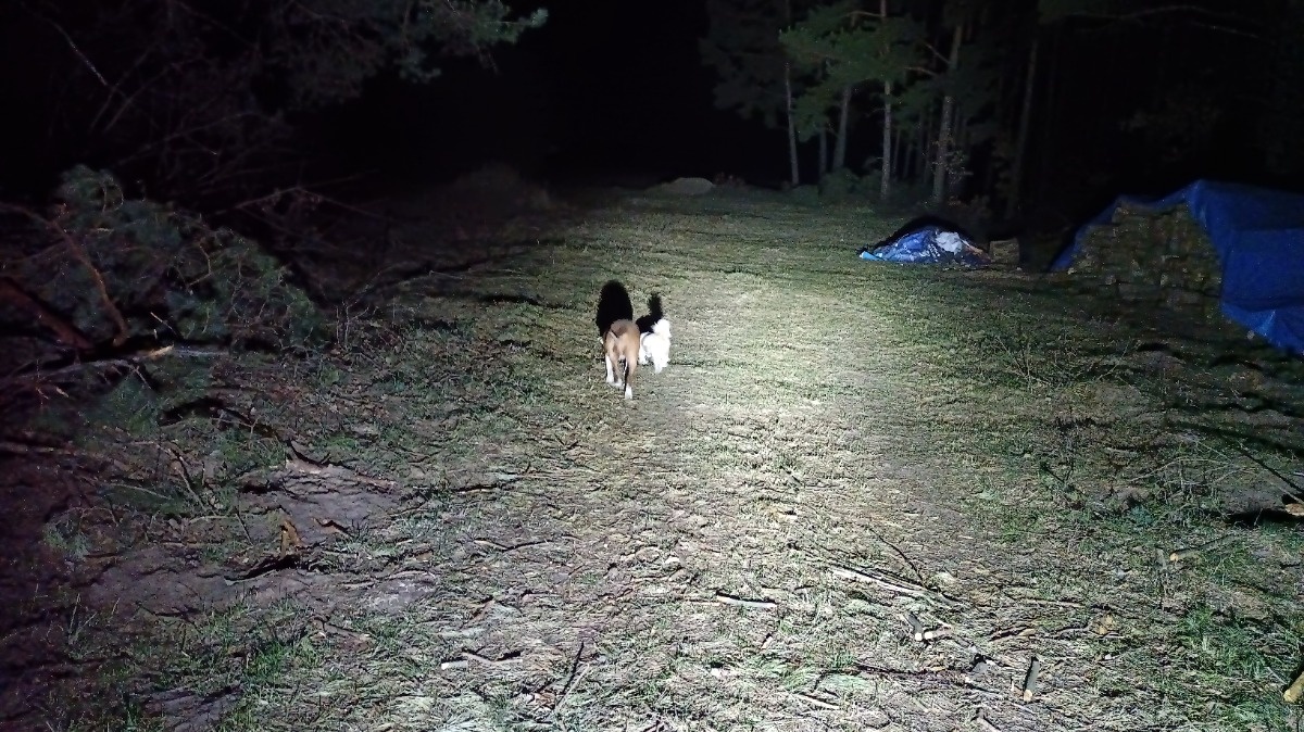 7a8f8b27-4b4a-472e-b31a-1e5c533a860c