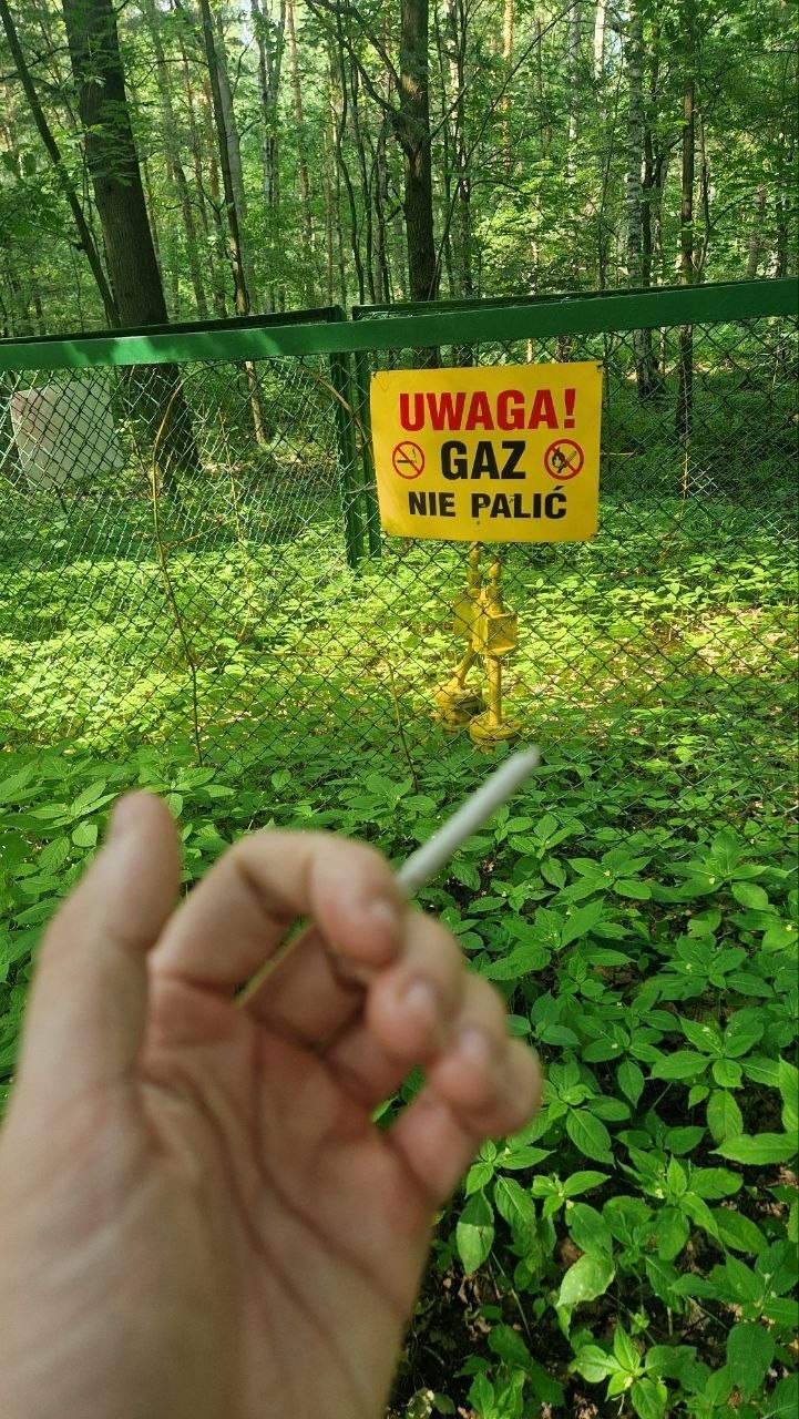 12d641a2-b408-4c4f-86ad-f115b15b14db