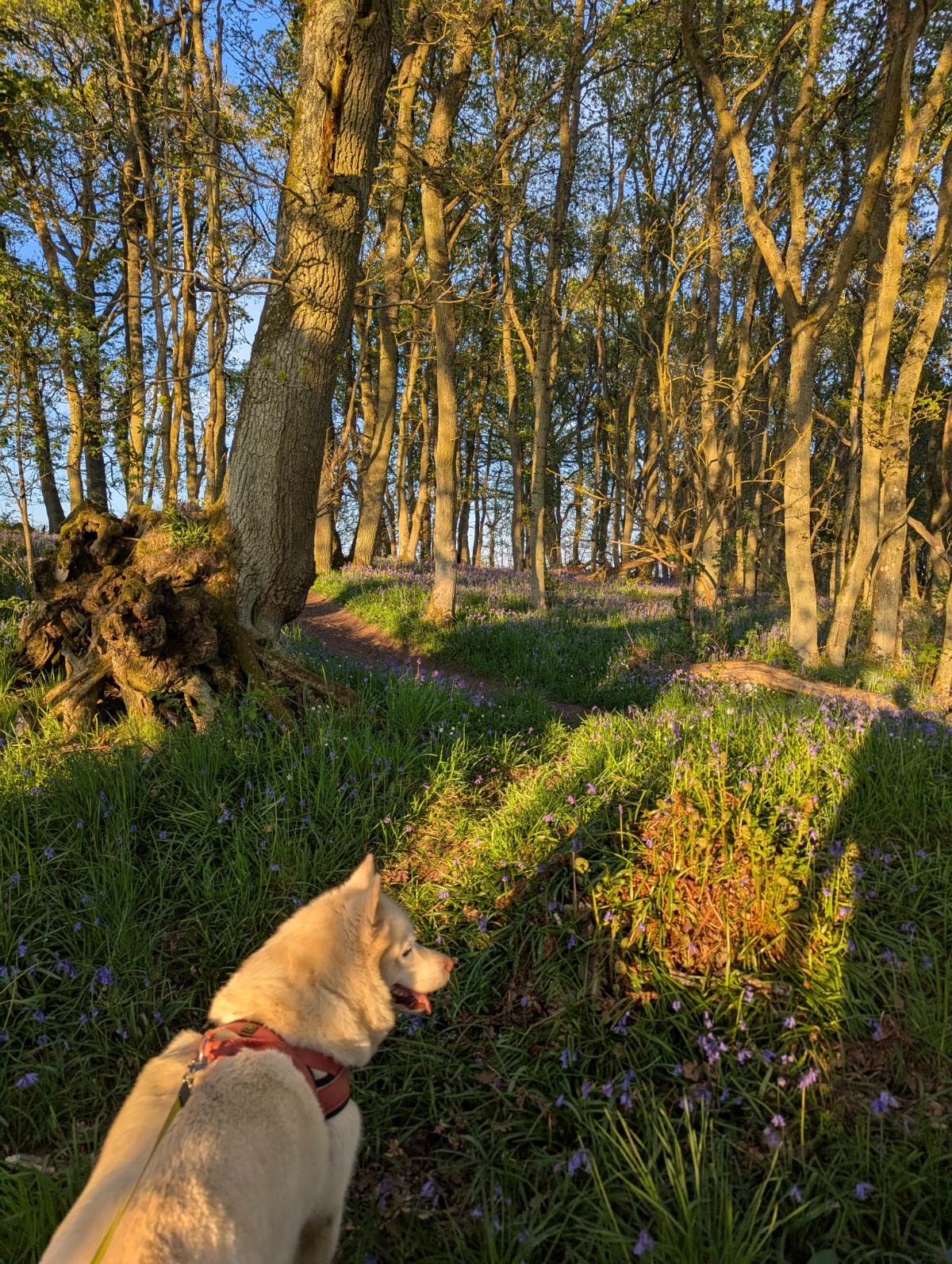 faf82eec-8190-48ae-af8b-313e48f58b40