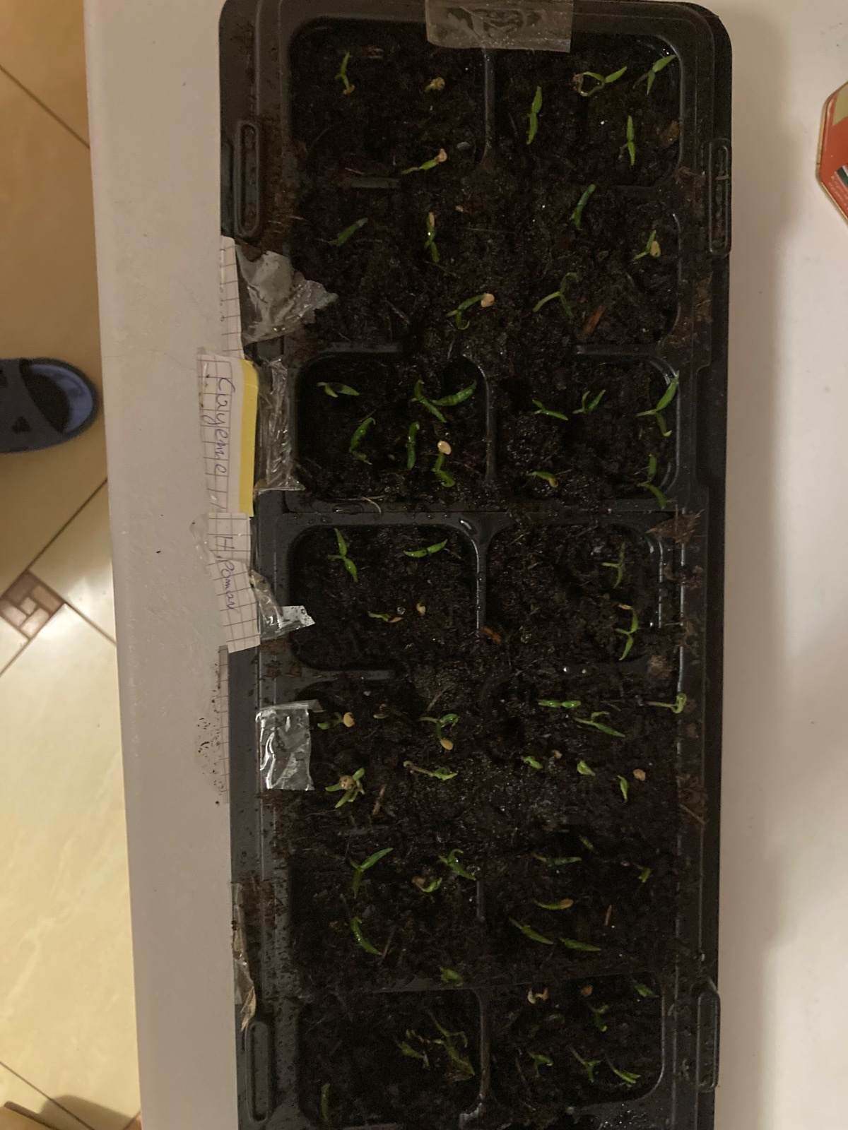 a6ac5dc8-7584-45d0-b3fc-c7210f700a15