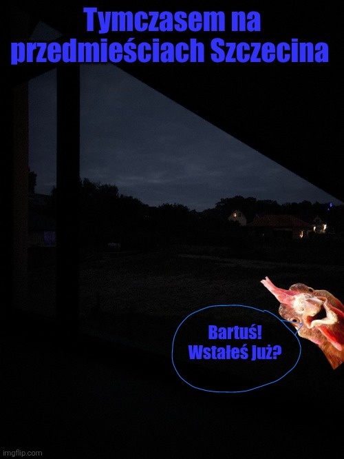 ab09c231-afee-4d78-b2df-11ae70be5c32