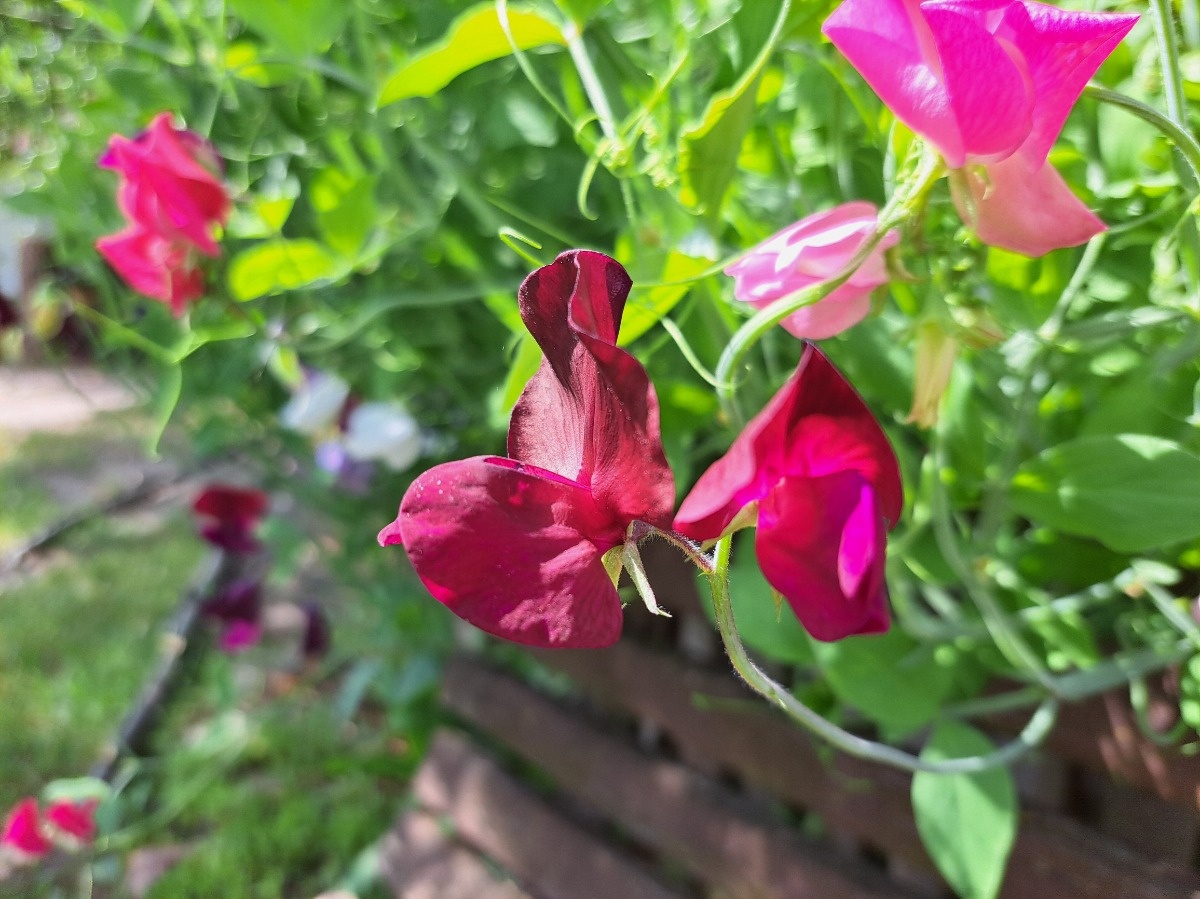 9fd0ae05-fa7e-4e10-b8e9-7bd2e9a61d6e