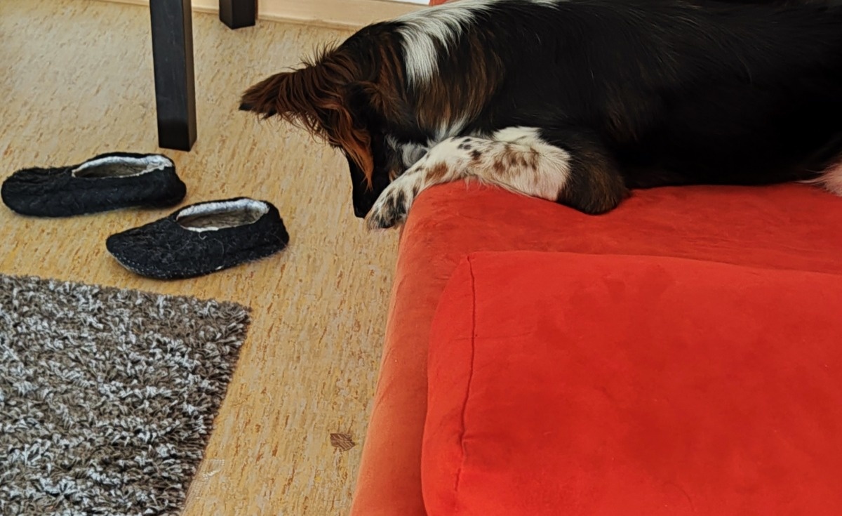 e9514062-259d-49e2-aaf6-337db7fac45e