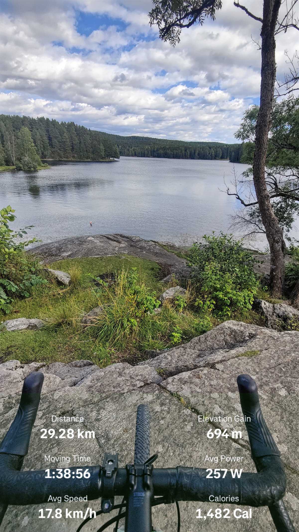 b07a13fd-63c3-4c42-b283-10cf9339d07d