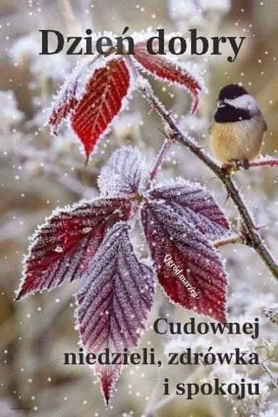 c02bc655-93af-4c6e-aa2a-eec3303fdaf8