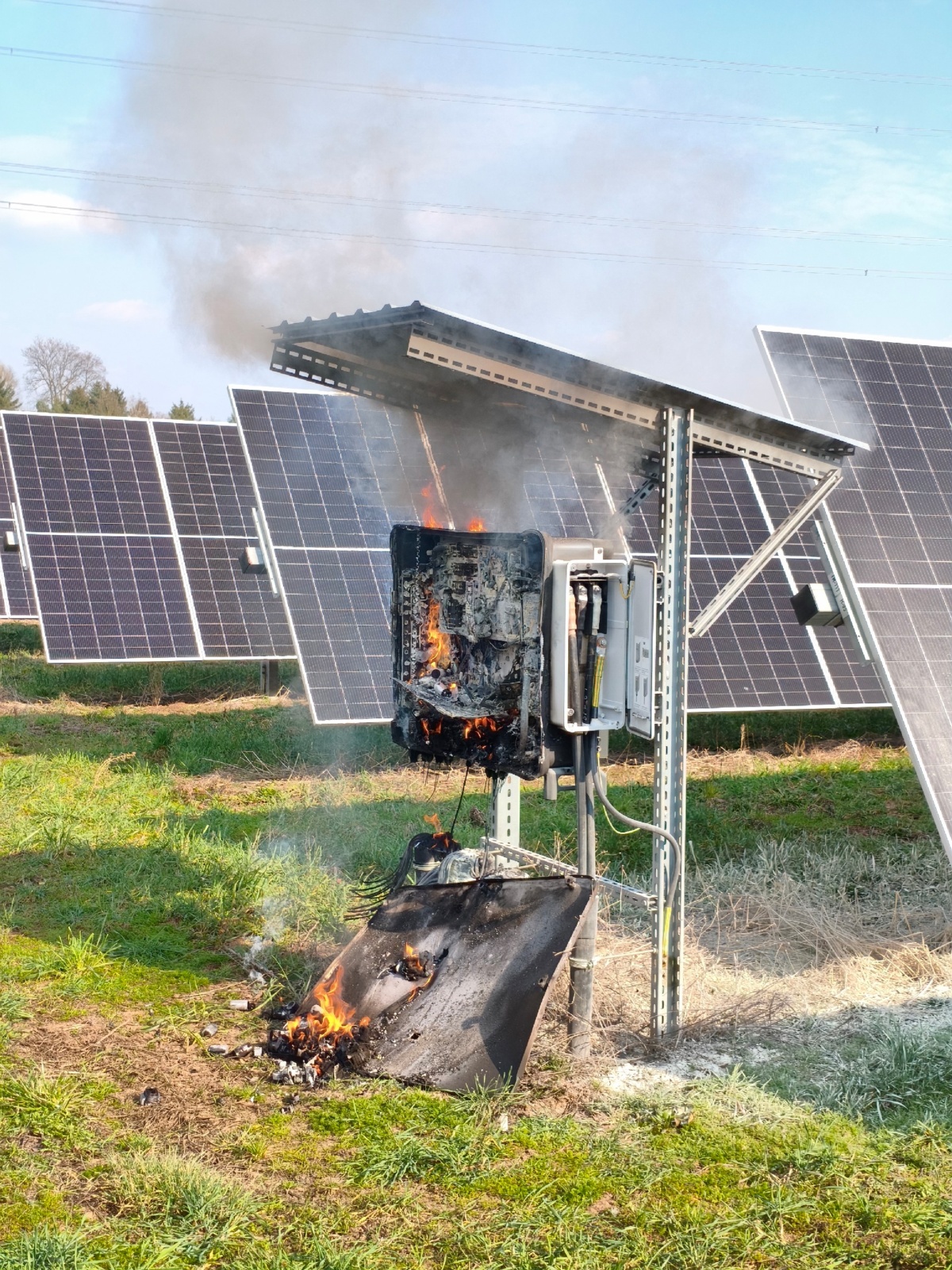 d62deaf8-5119-48da-8543-3231d416e67b