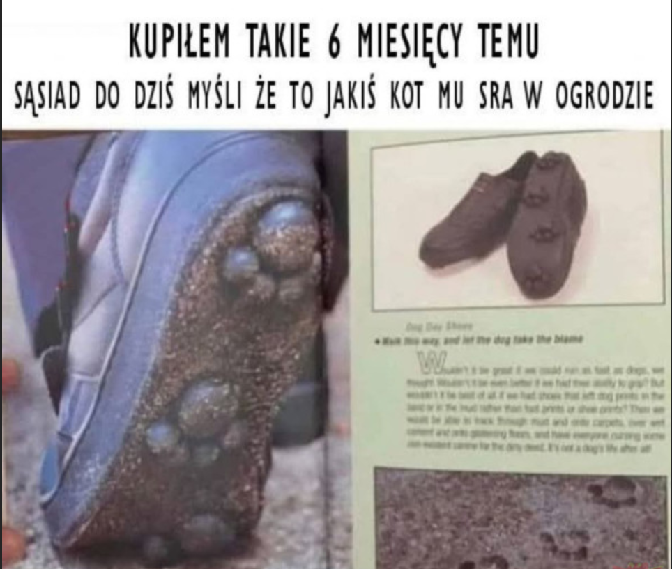 24b5b99a-8b03-4e84-a1d0-89e94ef4e6a4