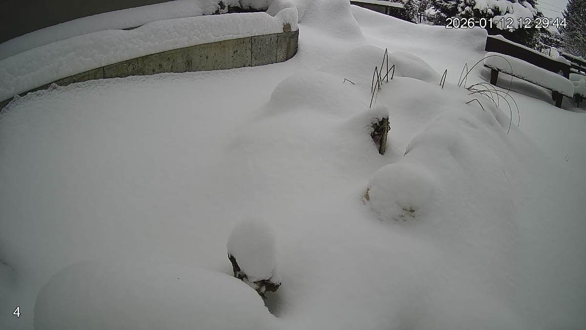 702fe04d-d58d-4e3a-ab5e-57553187ddb6