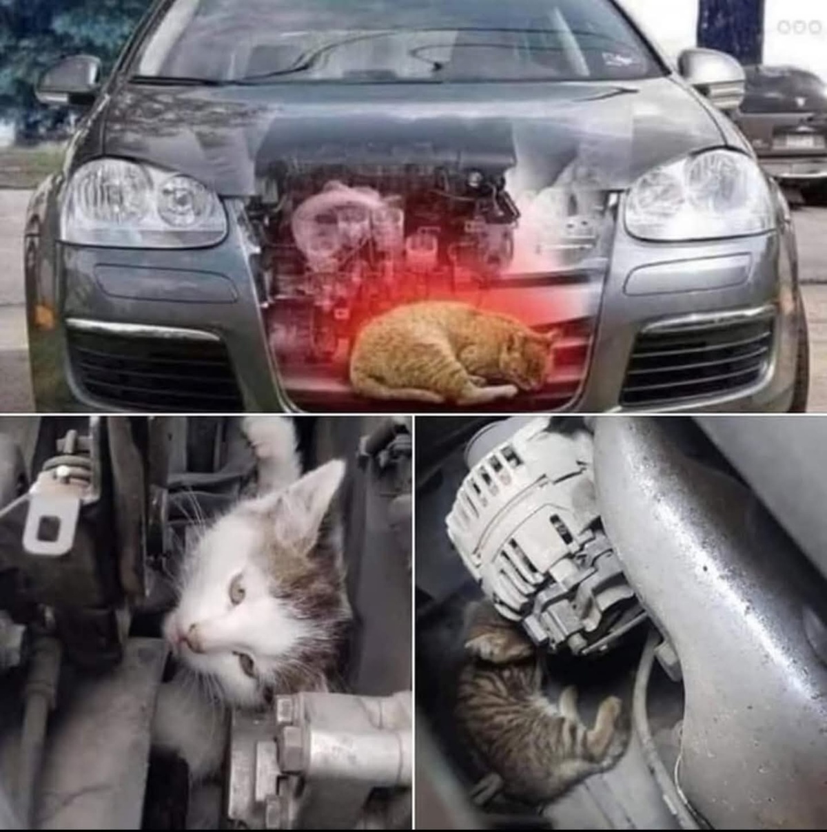 8f8225d6-8817-4e62-a0fa-e16c2e3a0564