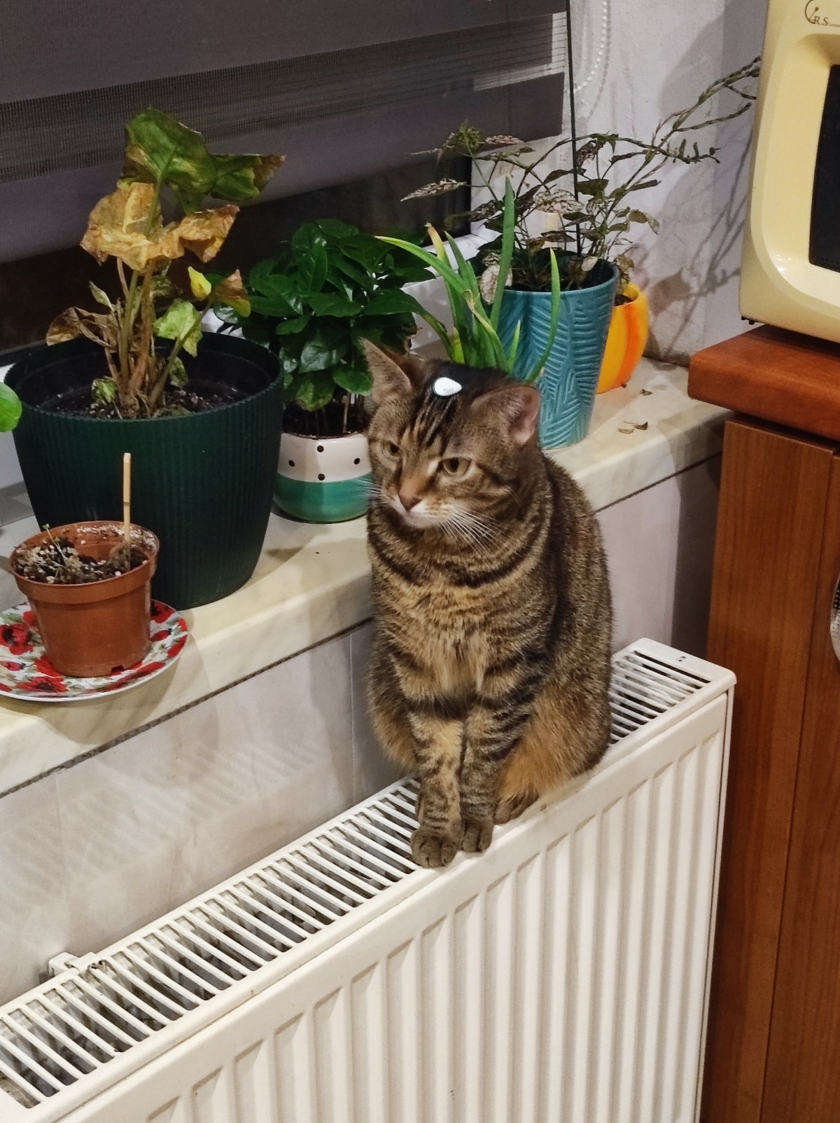 80e575cc-c655-4e89-8094-082a7c767846