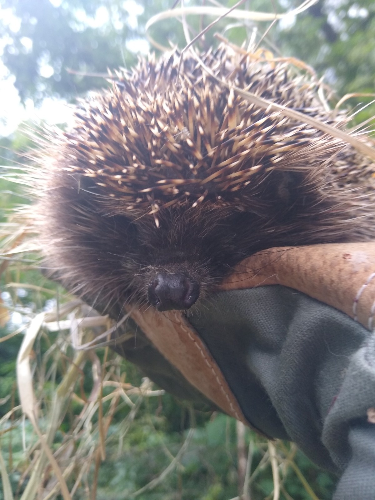 7b06f146-5dd3-4543-902e-00d39dff10d1